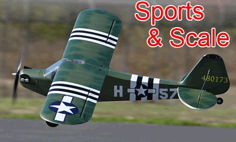 Sports & Scale RC Airplanes