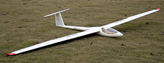 Discus-711 4m/157'' Glider with Extra Wings