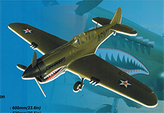 P-40 Electric RC Plane Kit
