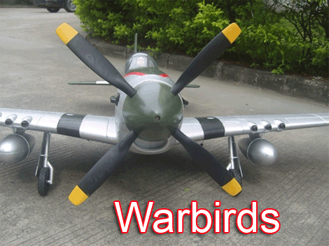 Electric/Nitro RC Airplane Warbirds