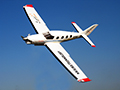 Epic LT 120 Nitro Fuel ARF Controlled Airline Model Jet (ARF R/C Plane) RC Remote Control Radio