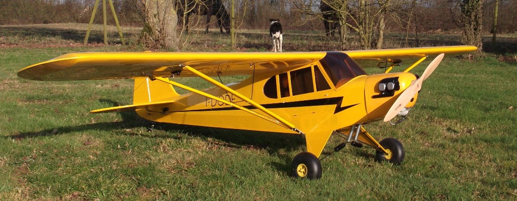 Goldwing ARF-Brand Piper Cub J3 50CC 119'' RC Plane A