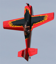 Raven 30E 49'' 3D Aerobatic Electric RC Airplane, Returned Item