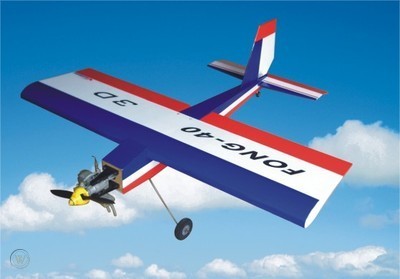 Richmodel Fong-3D Trainer RC Airplane ARF