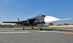 LX SU-47 Berkut Twin 70mm EDF 360 Degree RC Jet With Retracts Ready-To-Fly