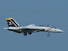 F-14 Tomcat Twin 40mm RC EDF Jet PNP